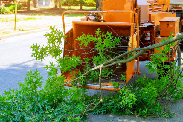 Tree Branch Trimming in Milford, UT